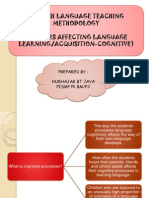 PKU3105 Factors Affecting Language Learning Aquisition