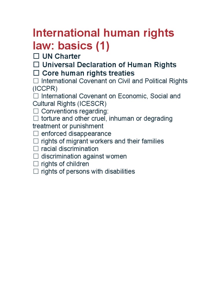 International Human Rights Basics | PDF | Social Science