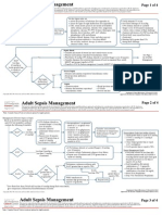 Clin Management Sepsis Management Adult Web Algorithm[1]