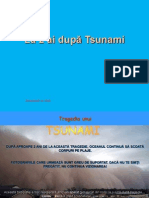 Tsunami