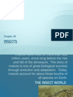 Insects