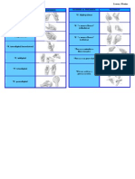 Prensiones PDF