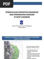 Download Presentasi Mangrove Badan Perencanaan Kota Surabaya by Dian Purnama Putra SN125865835 doc pdf