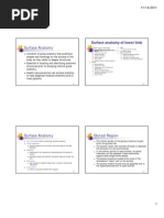 Surface Anatomy Lower Limb PDF