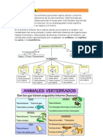 Vertebrados Resumen