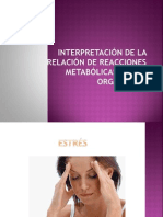 Interpretación de la relación de reacciones metabólicas de los organismos