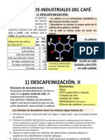 Curso Café - El Descafeinado