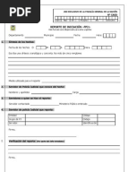 FPJ-03 INFORME EJECUTIVO