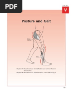 Download Chapter 47 posture  gait by Shruti SN12589900 doc pdf