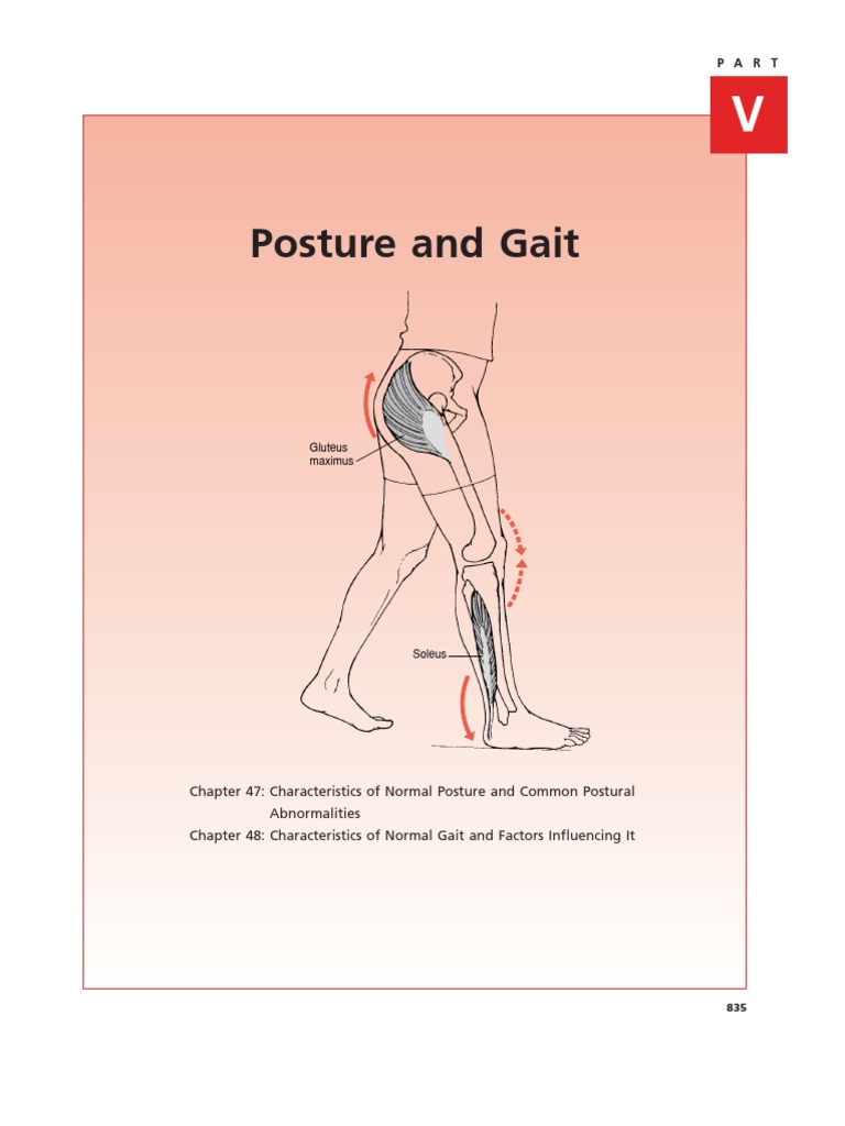 Normal Posture and Gait Analysis | PDF | Pelvis | Scoliosis