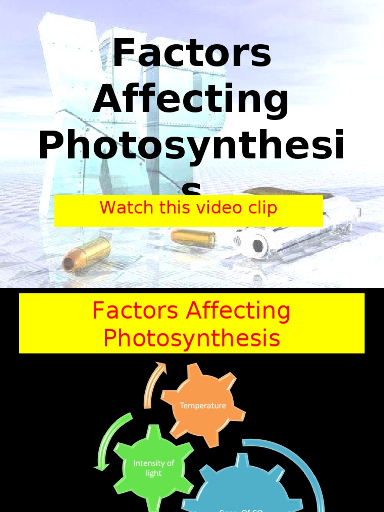 Factors Affecting Photosynthesis Foods Food And Drink