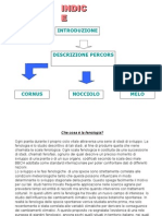 Percorso didattico Le Gemme 2005-06 Classi Prime