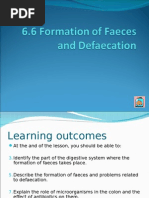 Download Formation of Faeces and Defaecation by zurich SN12590509 doc pdf