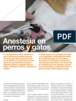Av18 - 12-15 Anestesia en Perros y Gatos
