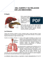 Órganos y Emociones PDF