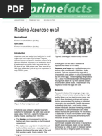 Download Raising Japanese Quail by Jafar Khan SN125985946 doc pdf