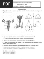 Ficha Avaliação 1_12ºA_C