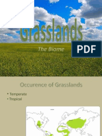 Grasslands