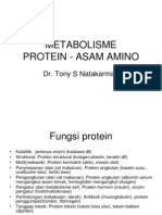 Metabolisme Protein-Asam Amino