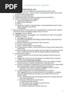 International Law Outline - Spring 2006