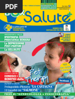 BOX SALUTE N 1