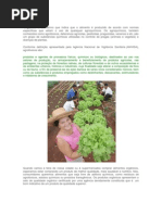 Alimentaçao Organica