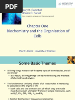 Download Chapter 1 Biochemistry and the Organization in Cells by jimeneztrishanne SN126092723 doc pdf