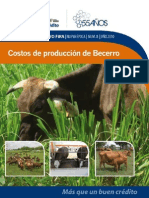 008 - Costos_de_Producción_de_Becerro.pdf                                                                                                             -2.htm