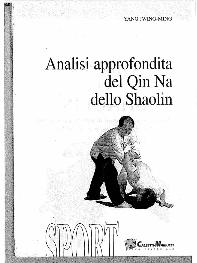 Maglietta Yin Yang Tai Chi - Design Cuore E Mente, 100% Cotone - Foto 2