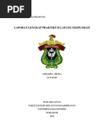 Download laporan eksplorasi editdocx by Hany Zuyyina Luthfa II SN126125257 doc pdf