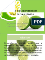 Proyecto de Exportación de Limón Persa A Canadá