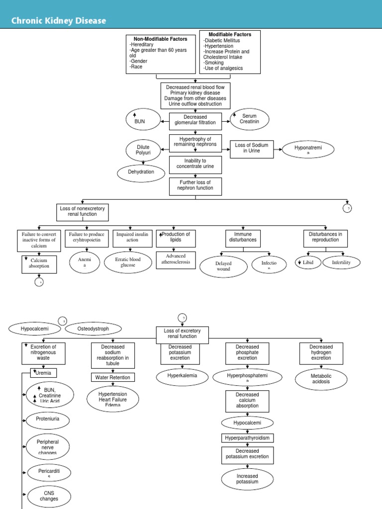 Pathophysiology of Chronic Kidney Disease | PDF