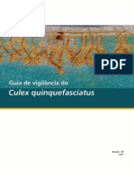 Guia Vigilancia Culex Quinquefasciatus Os7