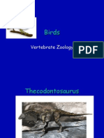 Birds: Vertebrate Zoology