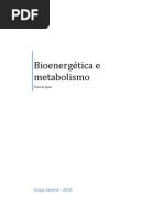 Bioenergética