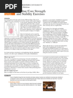 Lumbar Strength /back pain relief very effective