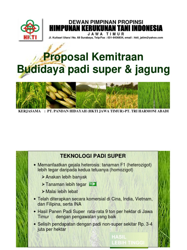 Proposal Kemitraan Jagung Padi | PDF
