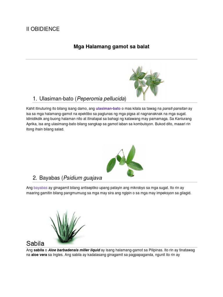 Halaman | PDF