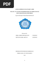 Download Presus Bblr Final by Akucinta Lumut SN126188165 doc pdf