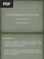 Introdução a Anatomia Humana (aula1)