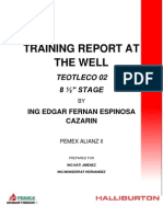 TEOTLECO 02  8.5 STAGE Training Report-.pdf