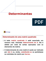 2 ANO - Determinantes - 2008