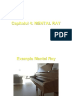 40.MentalRay