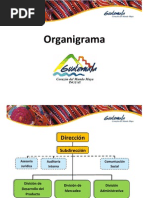 Organigrama y Funciones