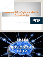 Bases Biológicas de La Conducta