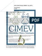 Laboratorio Hematologia Anemia Anemia-Abordaje-clinico