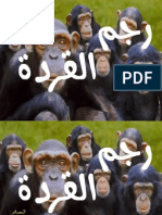 رجم القردة