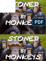 Stoned by Monkeys