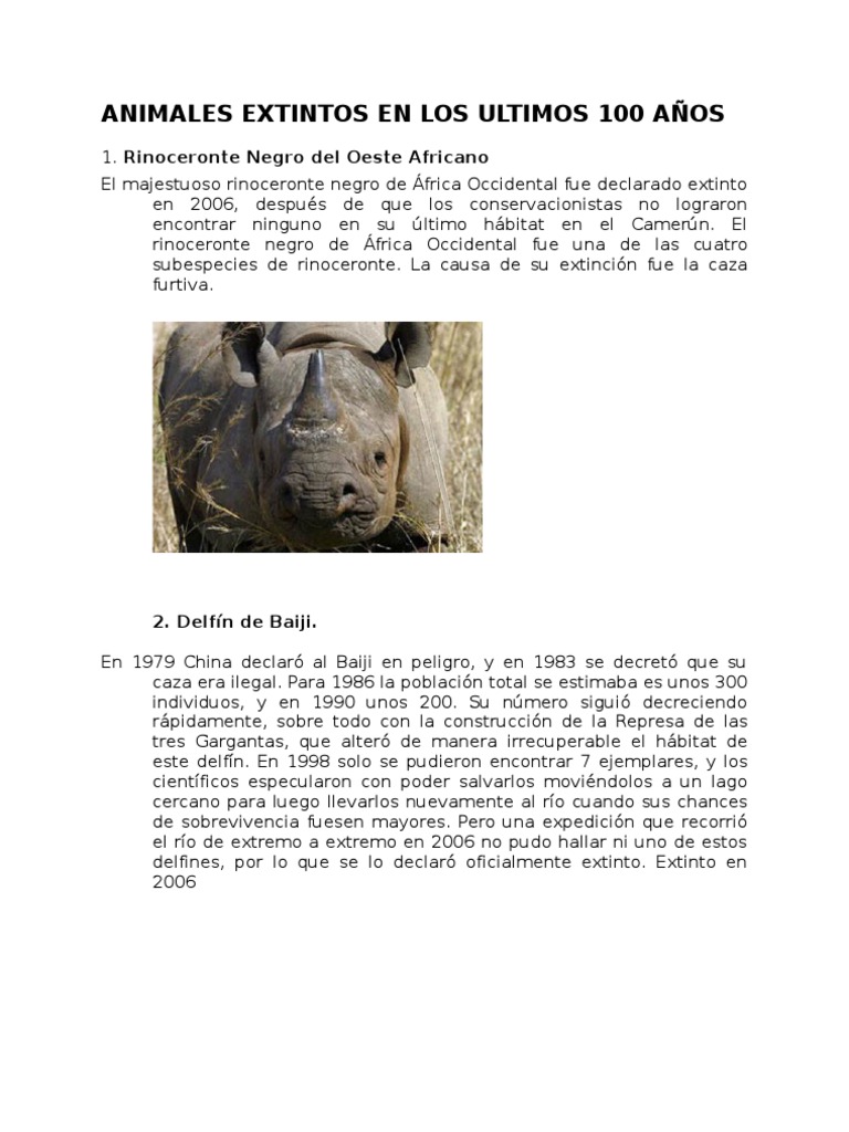 15 Animales Extintos En Los Ultimos 100 Años