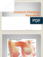 95230363-Anatomi-Fisiologi-Payudara